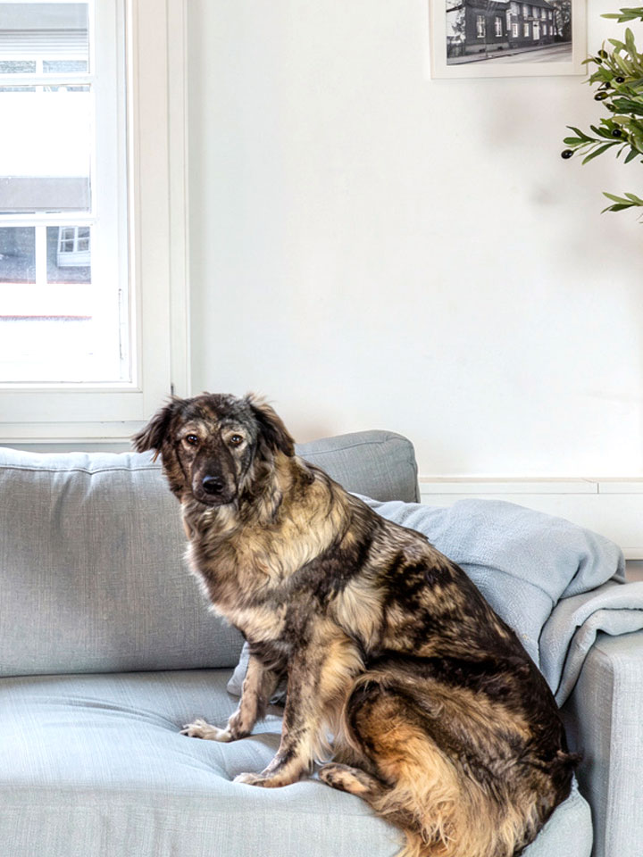 Team hallöchen Nissy